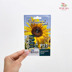 Flowers & Herbs Seeds