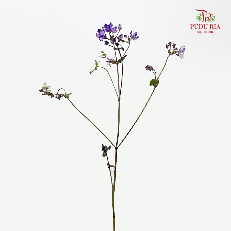Nirvana Flower - (Per Bundle)