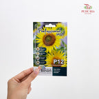 Flowers & Herbs Seeds
