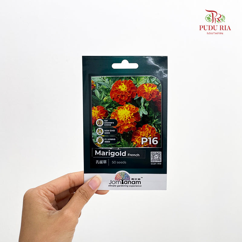 Flowers & Herbs Seeds