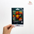Flowers & Herbs Seeds