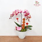 CNY Potted Plant Arrangement 2024#76