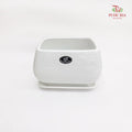 HS-134 White Pot