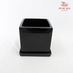 Asst Pot - Black (L) - Pudu Ria Florist Southern