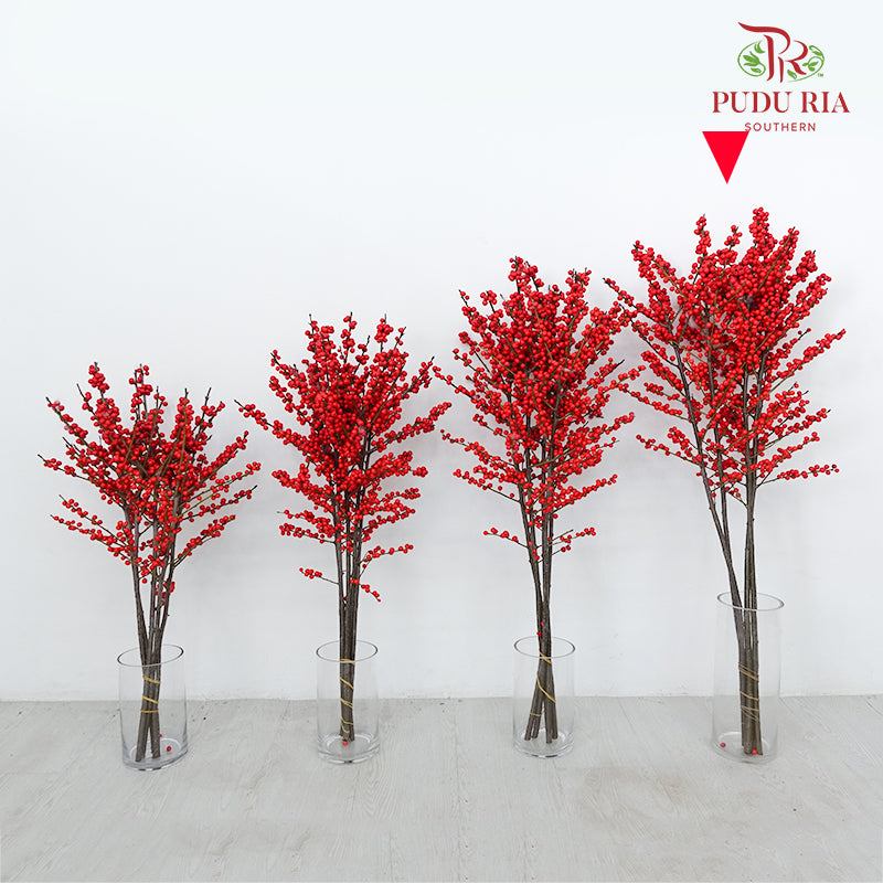 Ilex Purpurea Hassk Red - (5 Stems)