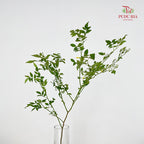 Nine Star leaves Flower - (Per Bundle)