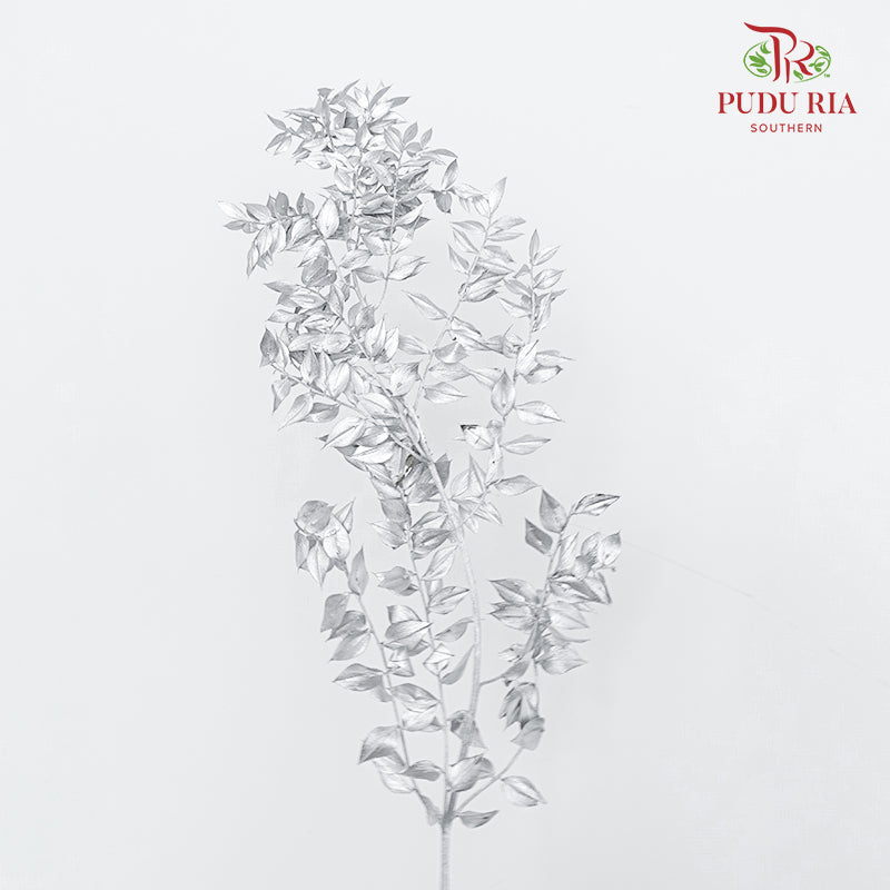Dry Ruscus Dyed - Silver