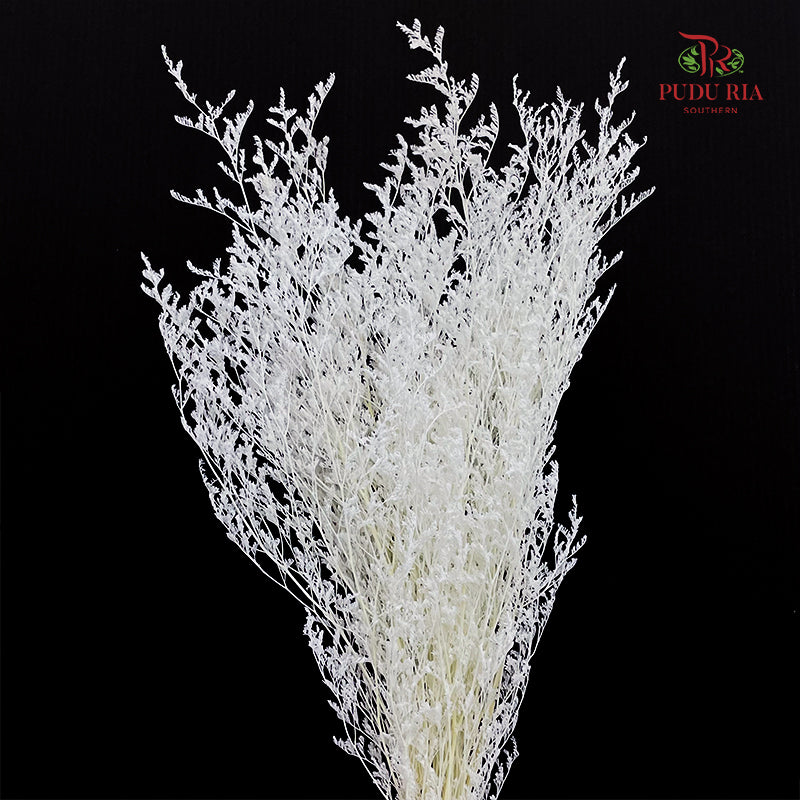 Dry Caspia - White
