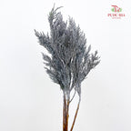 Cedar X mas Dyed Color Silver - (Per Bundle)