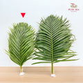 Yellow Palm Leaf 棕榈叶 (M) - (10 Stems)