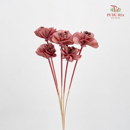 Dry Small Pomegranate Flower - Light Brown