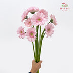 Gerbera Mini Soft Pink 非洲菊 - (8-10 Stems)