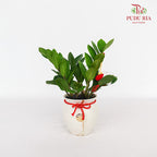 CNY Potted Plant Arrangement 2024#30