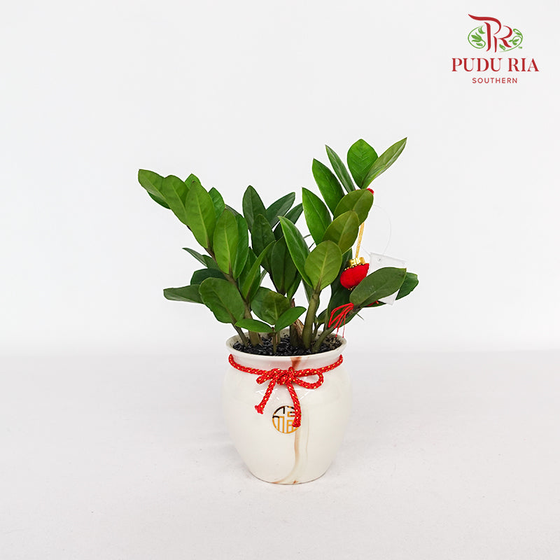 CNY Potted Plant Arrangement 2024#30