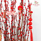CNY Arrangement 2024#32