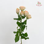 Rose Spray Sancerre - (8-10 Stems)