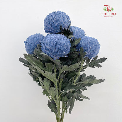 Peony Chrysanthemum Dyed Slate Blue - (5 Stems)