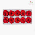 10 Bloom Preservative Rose - Orange