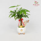 CNY Potted Plant Arrangement 2024#20