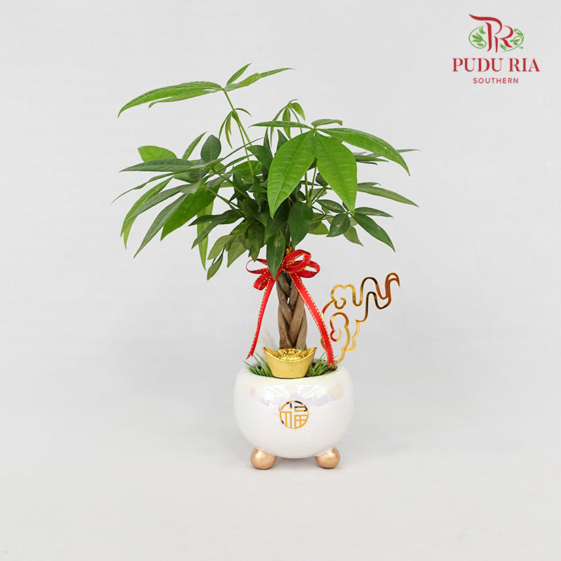 CNY Potted Plant Arrangement 2024#20