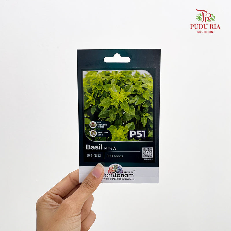 Flowers & Herbs Seeds