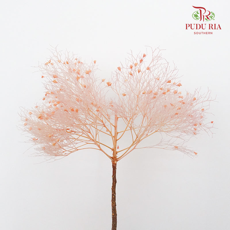 Dry Dream Grass Pink - Pudu Ria Florist Southern