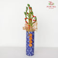 CNY Potted Plant Arrangement 2024#54