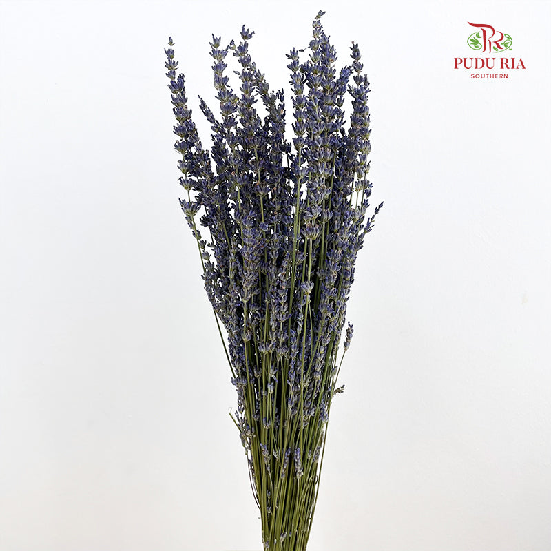 Dry Lavender