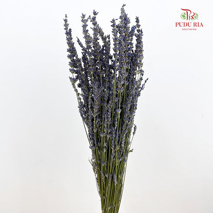 Dry Lavender