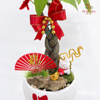 CNY Potted Plant Arrangement 2025#22