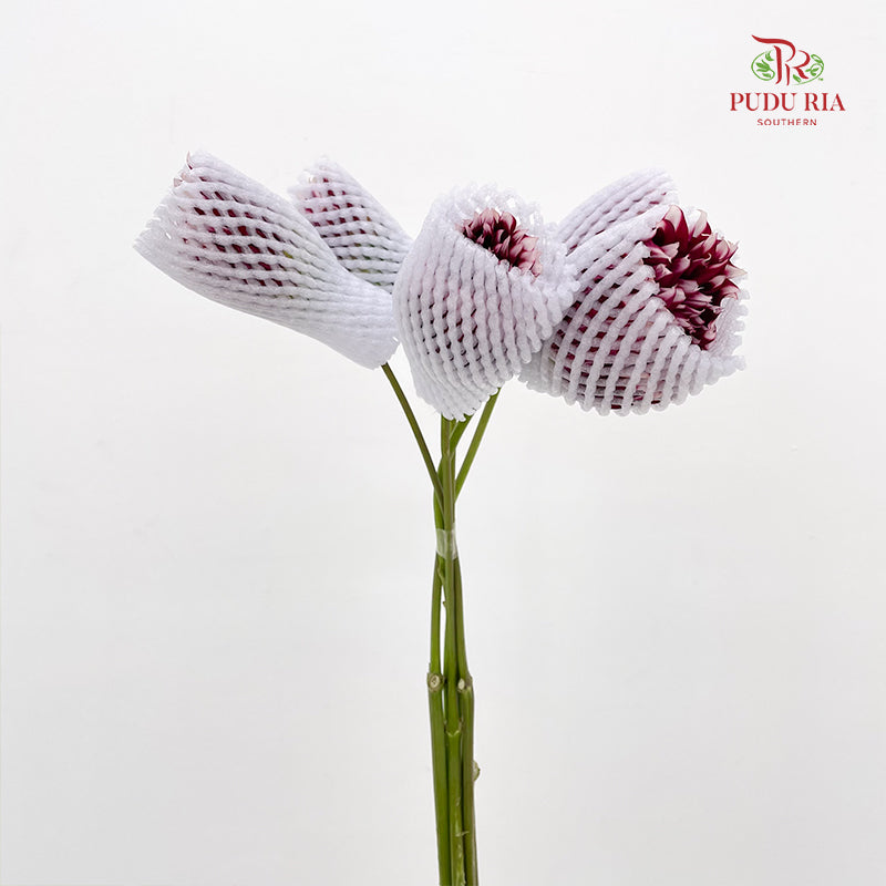 Dahlia Red - (Per Bundle)