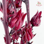 Roselle