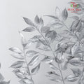 Dry Ruscus Dyed - Silver