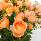 Rose Spray Juice Terrace (8-10 Stems) - Pudu Ria Florist Southern
