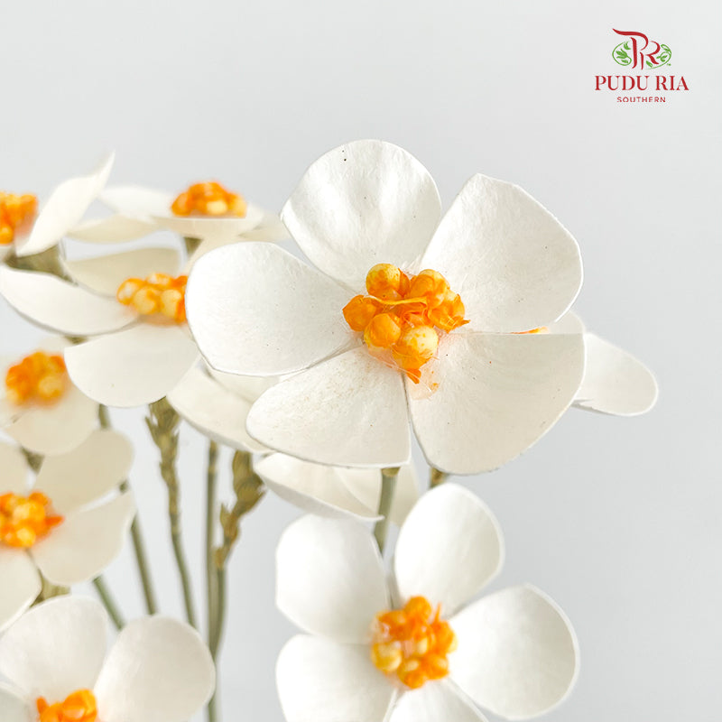 Dry Violet - White Center Orange