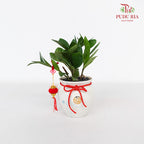 CNY Potted Plant Arrangement 2024#30