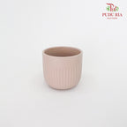 TY-8822 Asst Pot