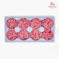 8 Bloom Carnation - Light Pink