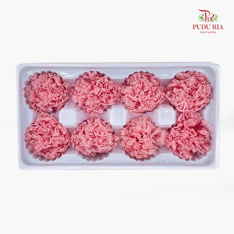 8 Bloom Carnation - Light Pink