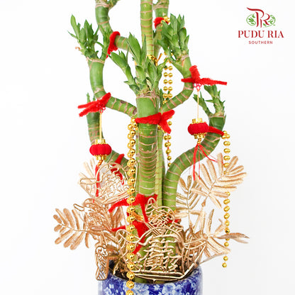 CNY Potted Plant Arrangement 2024#54