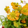 Chrysanthemum Painted - (Per Bundle)