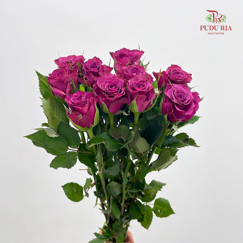 Rose Blueberry - (8-10 Stems)