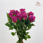 Rose Blueberry - (8-10 Stems)