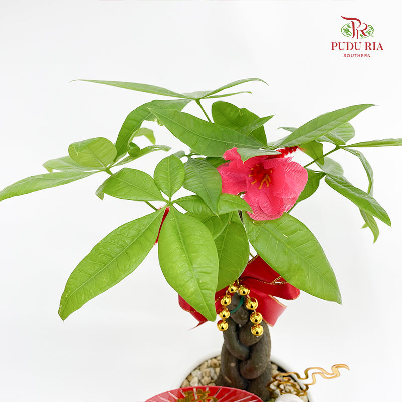 CNY Potted Plant Arrangement 2025#22