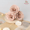 25 Bloom Awalking Soap Flower Acorn - FBA089#11