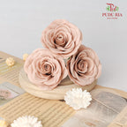 25 Bloom Awalking Soap Flower Acorn - FBA089#11