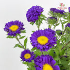 Aster Purple 翠菊 - (Per Bundle)