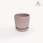 JZ-DW24187 Pot