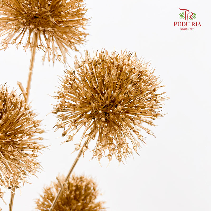 Gold Artificial Allium (Per Stem)