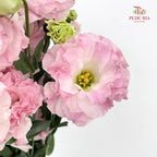 Eustoma Pink 洋桔梗 - (12-15 Stems)